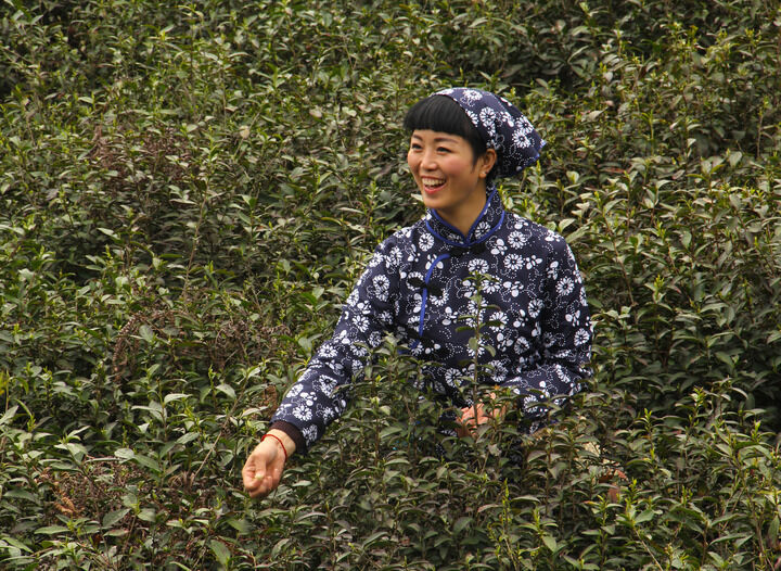 313网主播 暗房连线